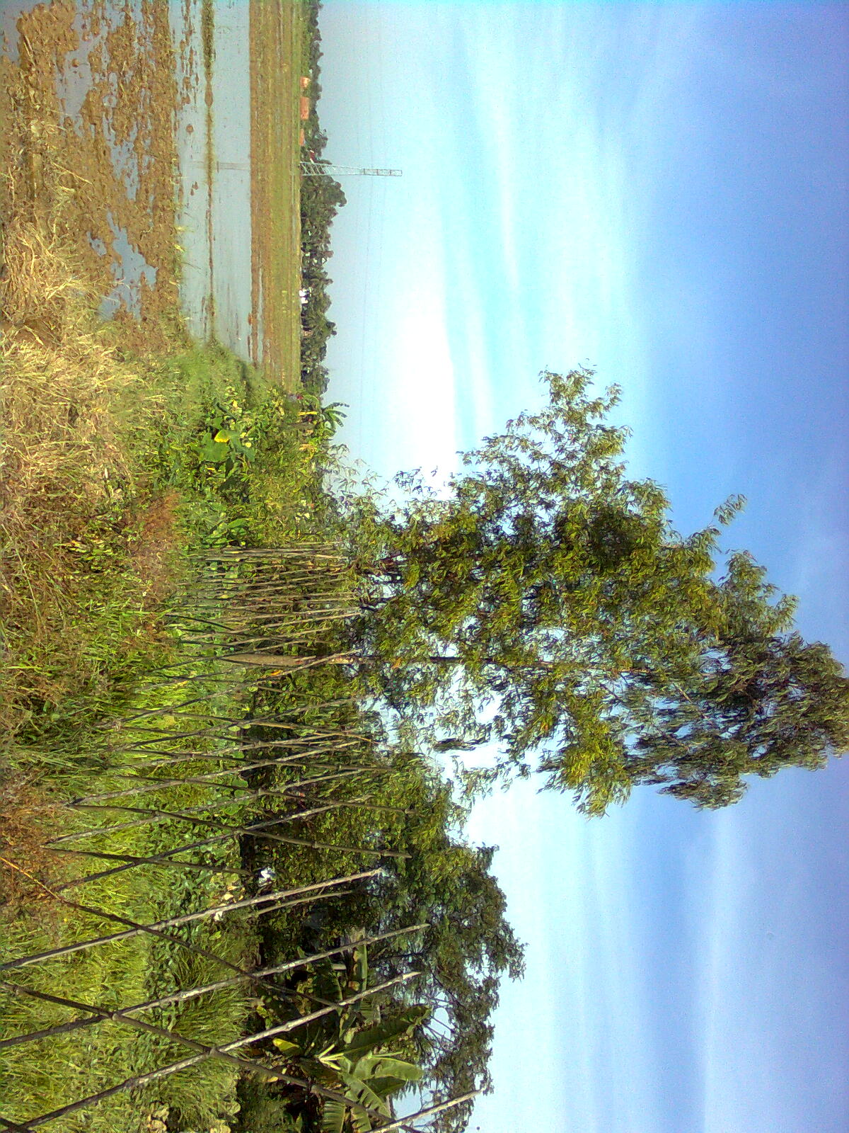 Hnh nh0156